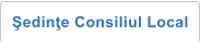 �edin�e Consiliul Local