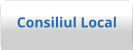 Consiliul Local
