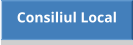 Consiliul Local
